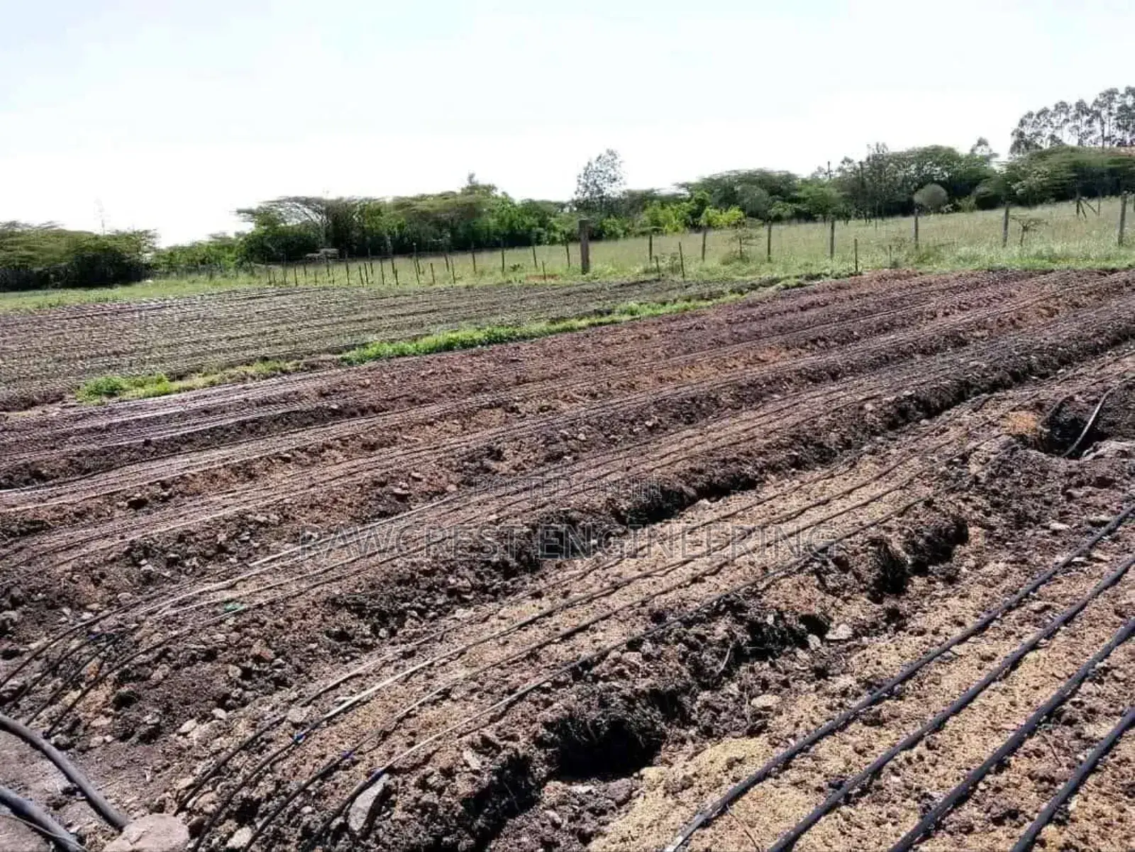Irrigation And Greenhouse Construction Services