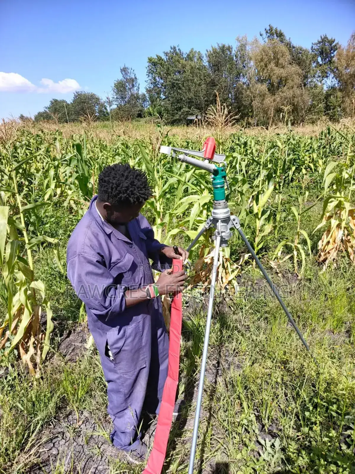 Irrigation Services
