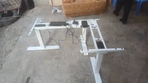 Ergonomics Sit Stand Electric Memory Desk