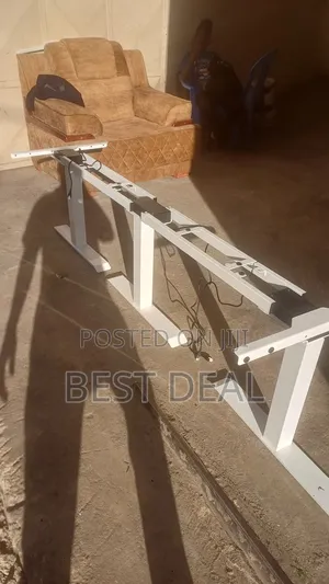 Ergonomics Sit Stand Electric Memory Desk
