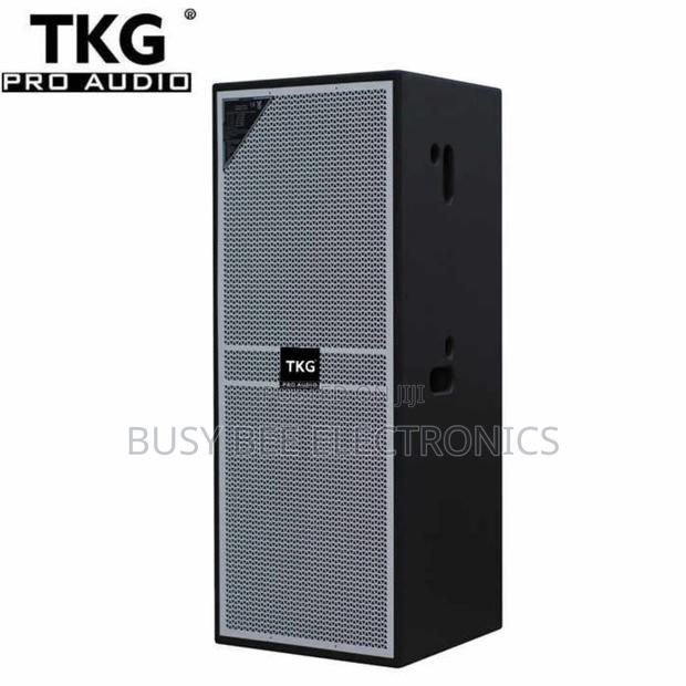 TKG E-225 E225 Dual 15 Inch 800 Watt