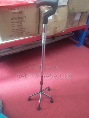 Quadripod Walking Stick - main view