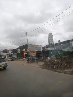 Fh Truck at Hand for Transport of Goods