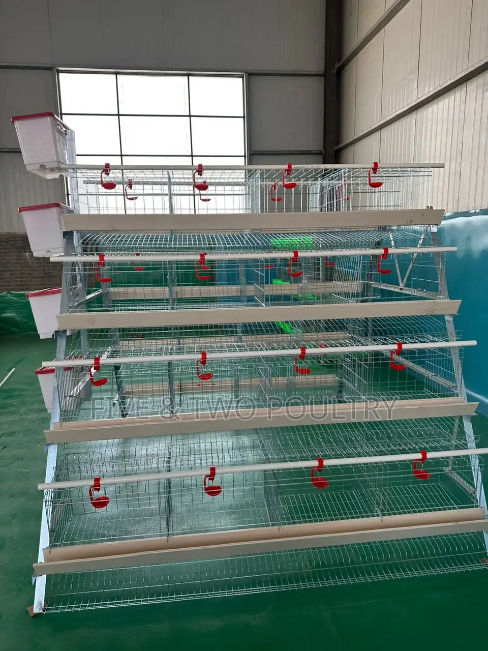 Cages 128birds