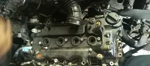 Probox New Model Engine 1nr
