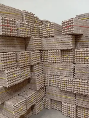 Waterproof Paper Trays