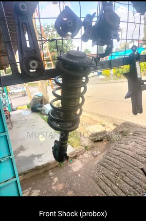 Complete Front Shock Probox