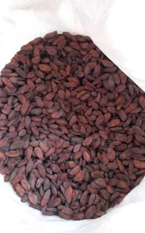 Cocoa Beans : Dry Well Fermented. 1 Kg - thumbnail 2