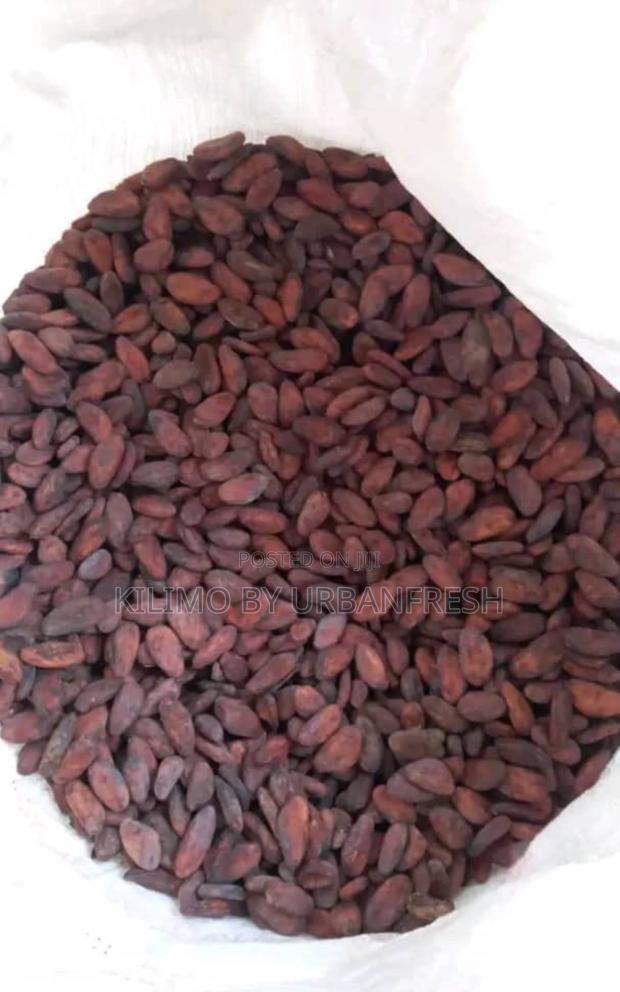 Cocoa Beans : Dry Well Fermented. 1 Kg - main view