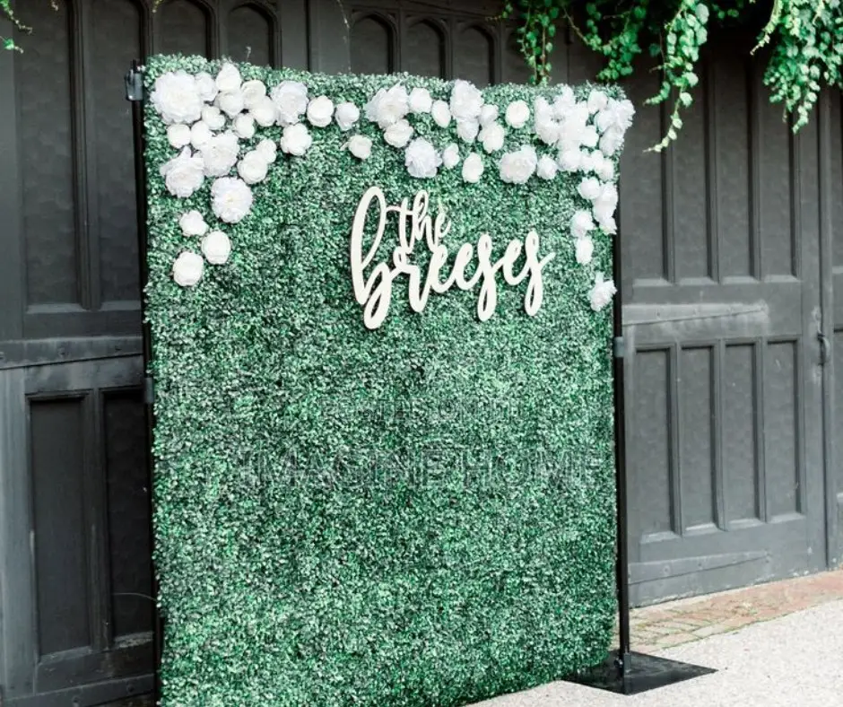 Boxwood Wall Hedges