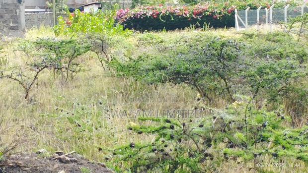 Plots for Sale in Chuna Estate Kitengela - thumbnail 4