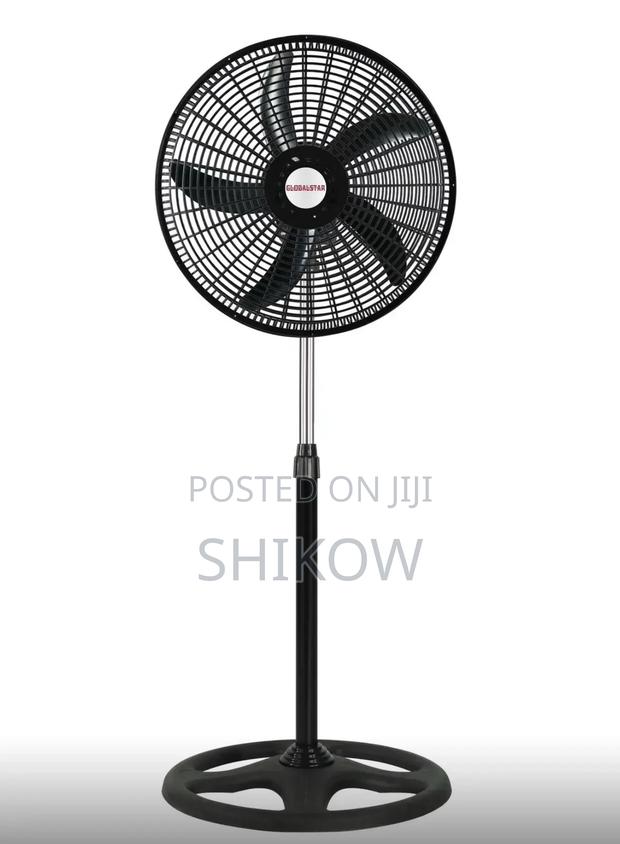 Globalstar 16 Inches Standing Fan - main view