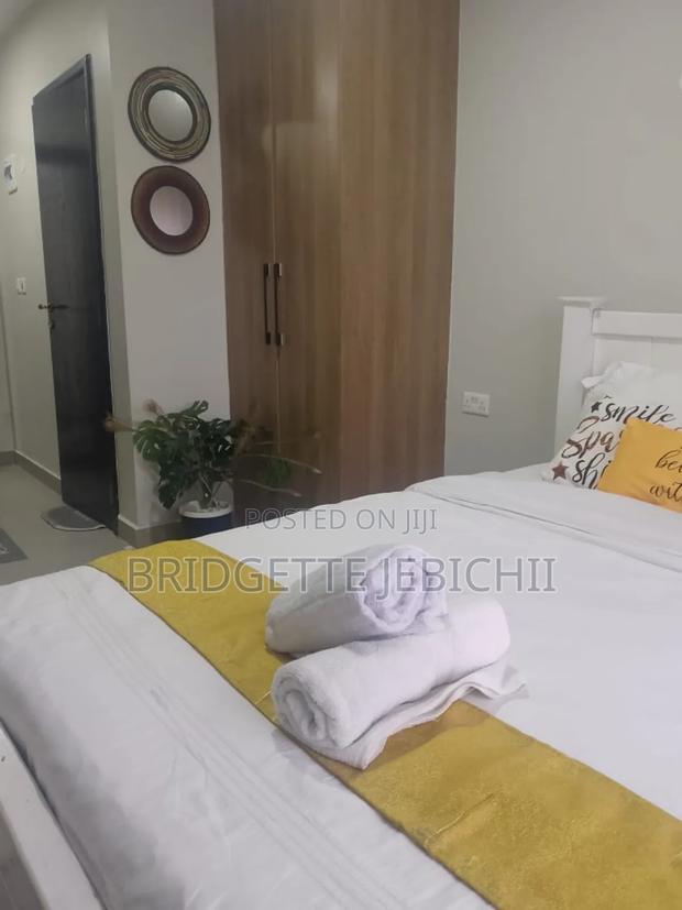 1 Bedroom Apartment Nyayo Suite Nairobi West - thumbnail 4