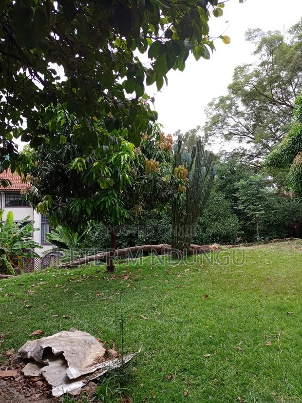 Kilimani Prime 1/2 Acre on Sale - thumbnail 7