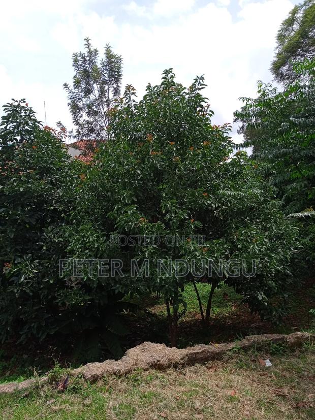 Kilimani Prime 1/2 Acre on Sale - thumbnail 8
