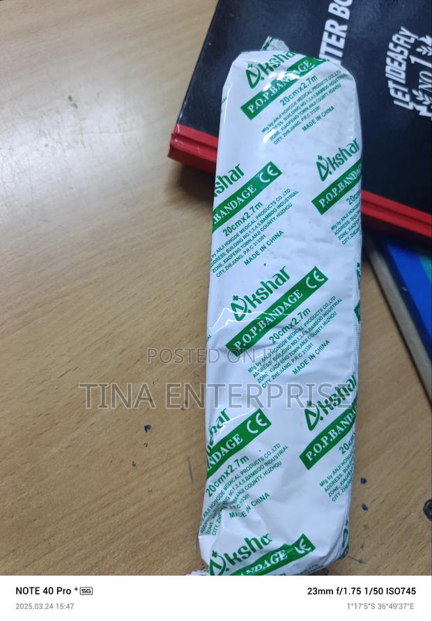 Plaster of Paris. - thumbnail 2