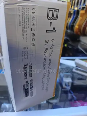 Behriger B1