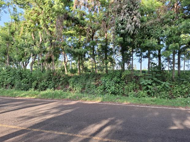 Prime Property in Limuru - thumbnail 2