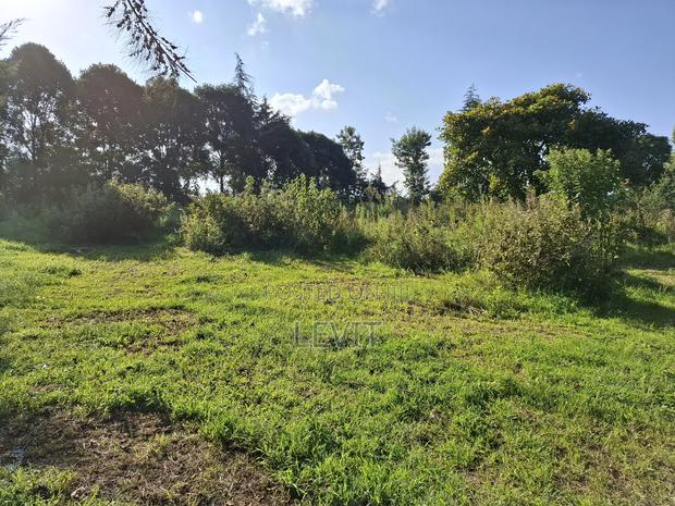 Prime Property in Limuru - thumbnail 7