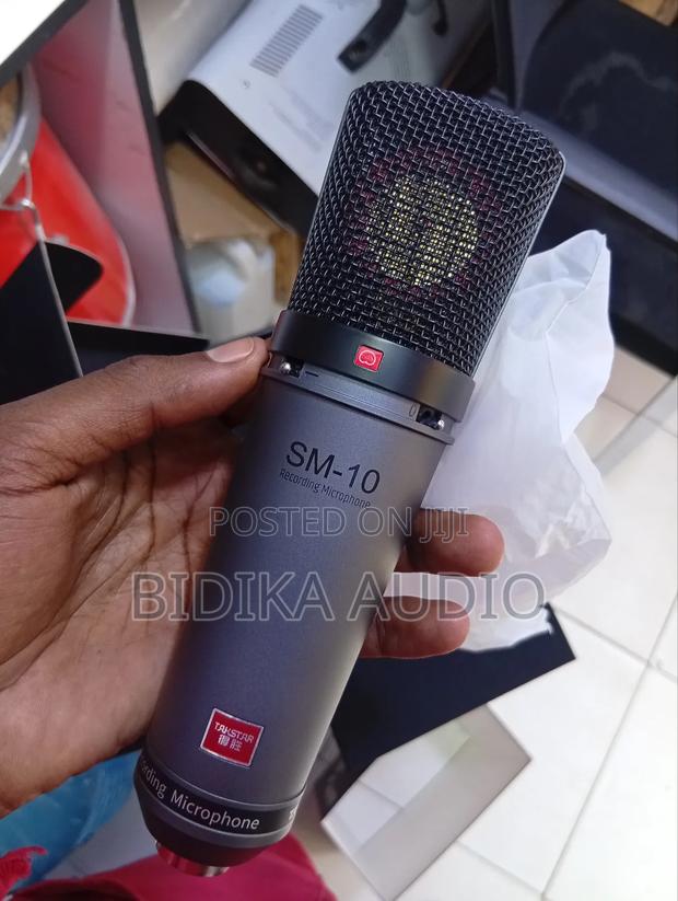 Quality Sm-10 Condenser Studio Microphone - main view