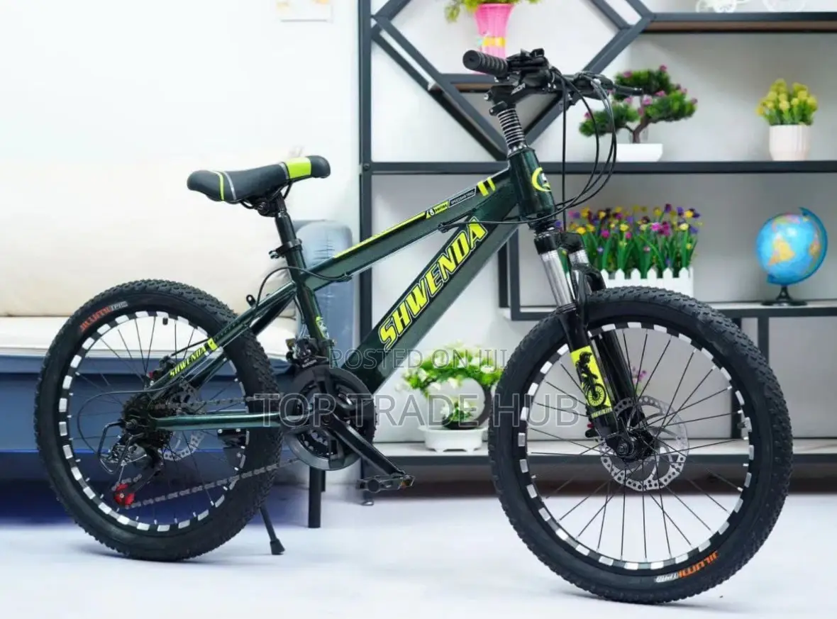 Shwenda Mtb Sport Bike 24 Inch - Bn3