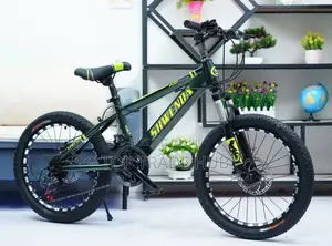 Shwenda Mtb Sport Bike 24 Inch - Bn3