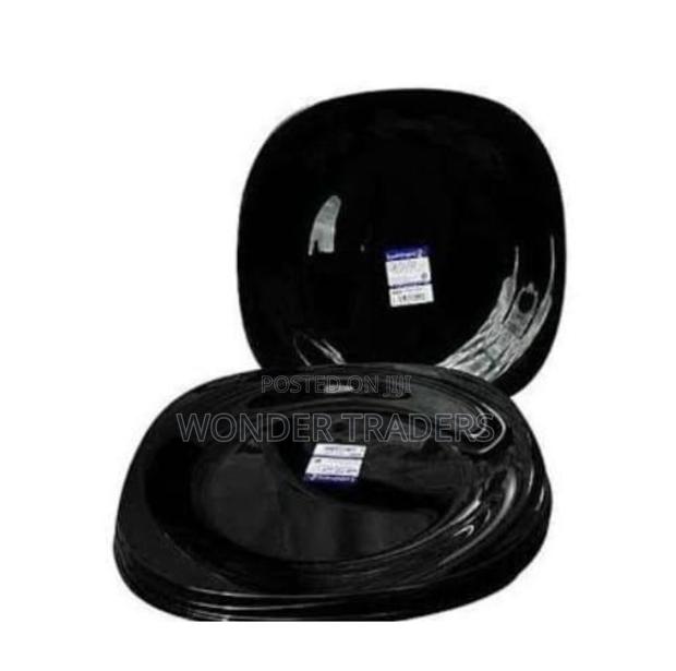 10 Inch Luninarc Plates - main view