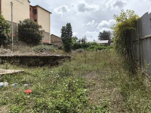 Large 8th Acre (60*100) Plot for Sale in Rongai 50 MTRS From Tarmac