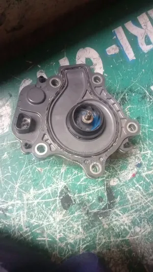 Honda Grace Water Pump