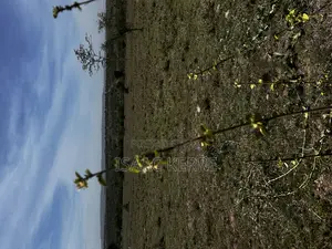 5 Acre Land for Sell Near Kajiado Town.
