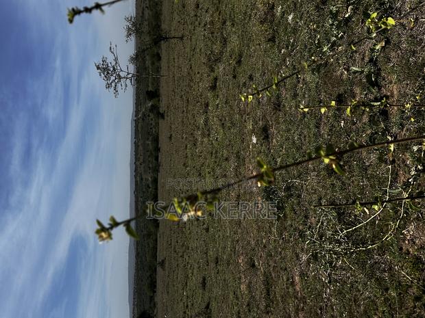 5 Acre Land for Sell Near Kajiado Town. - thumbnail 3