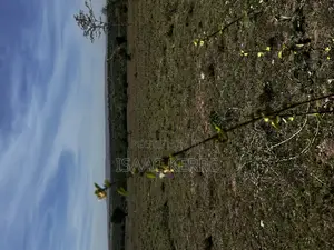 5 Acre Land for Sell Near Kajiado Town.