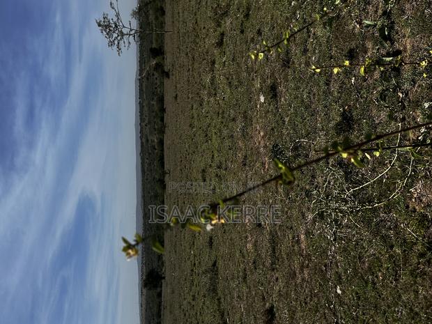 5 Acre Land for Sell Near Kajiado Town. - thumbnail 4