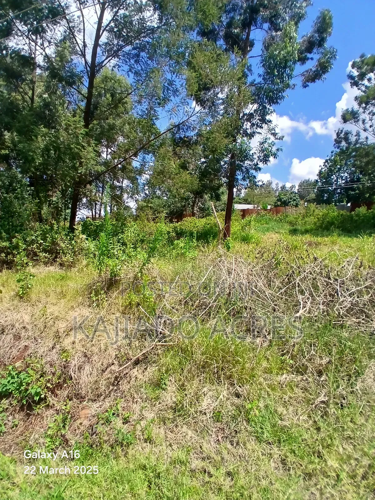 Prime 1/4 Acre Vet,Ngong