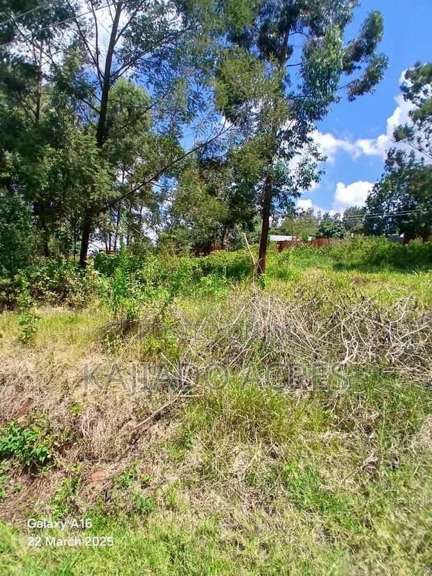 Prime 1/4 Acre Vet,Ngong - thumbnail 5