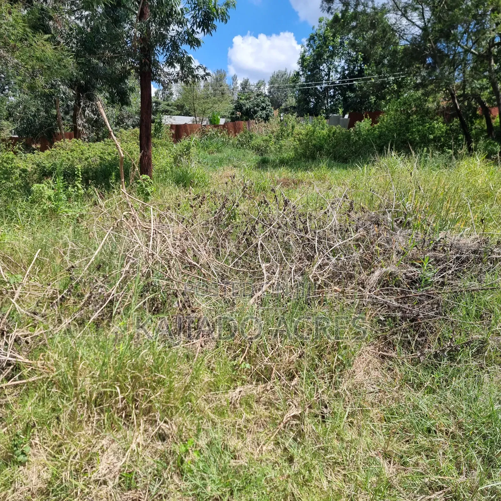 Prime 1/4 Acre Vet,Ngong