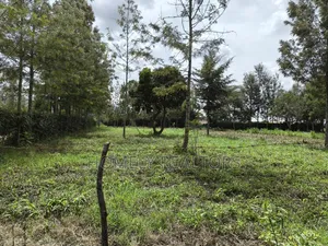 Leafy Quarter Acre Plot in Ngong, Matasia Along Oloika Road
