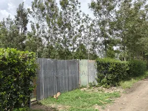 Leafy Quarter Acre Plot in Ngong, Matasia Along Oloika Road