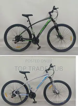 Especial Pro Mountain Bike 29 Inch