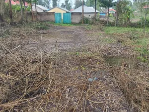 Awendo Township Plot 100x100ft