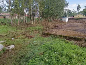 Awendo Township Plot 100x100ft
