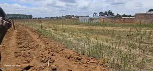 Plots For Sale Eldoret Kiplombe Kibulgeny