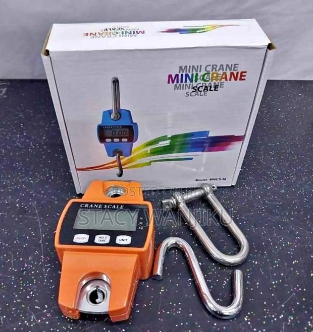 Preferred 300kgs Weighing Scale/ Digital Hanging Scale 309kg