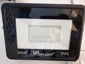 100w Dplight Ac Floodlight