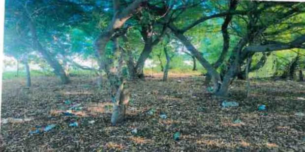 1 Acre Prime Plot Mtwapa . Walled - thumbnail 4