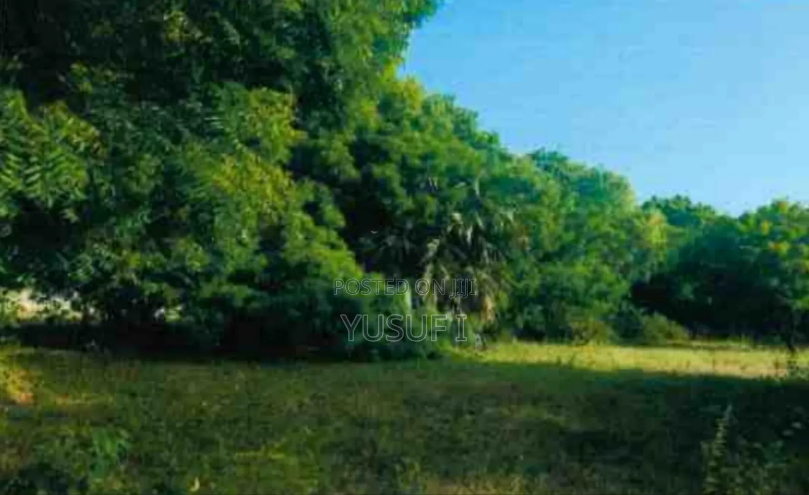 1 Acre Prime Plot Mtwapa . Walled