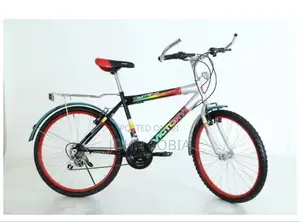 Victory 24" Bike With Gears