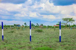1/8th Acre Plots for Sale in Ruiru Kamakis^Pn
