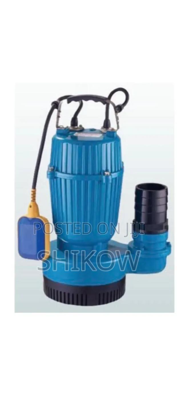 Premier Sewage Pump
