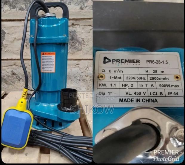 Premier Sewage Pump Pm 2hp